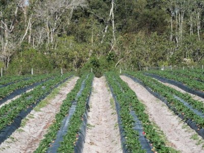 太仓首创产业用地“竞生态投入”配置模式——增添“标准地+双信地+定制地”新内涵