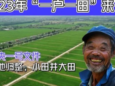 农村土地政策新规出台，一户一田政策落实，每亩地补偿10万元？