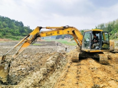 复垦土地展新颜 “粮”策良法促振兴