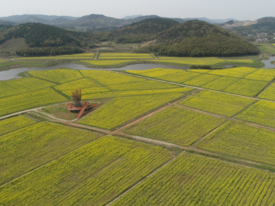 【甘快看】10年来累计完成沙化土地综合治理2100多万亩 甘肃切实加大科学治沙力度