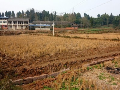 上海郊区连片规整土地105亩