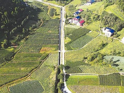 广东：规范交易市场秩序，促进土地高效流转