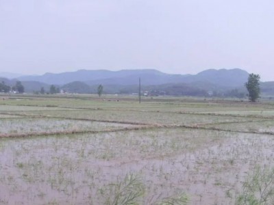 求租安徽合肥耕地，面积大优先，水资源丰富，通电图1