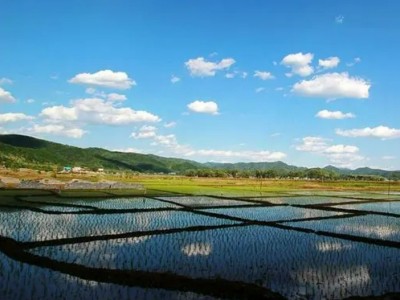 需浙江杭州1000亩以上的水田图1