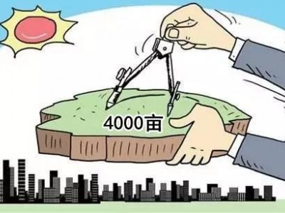 《上海市实施〈中华人民共和国土地管理法〉办法》表决通过，作出了哪些规定？