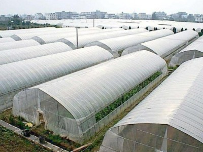 北京180亩蔬菜大棚林地出租