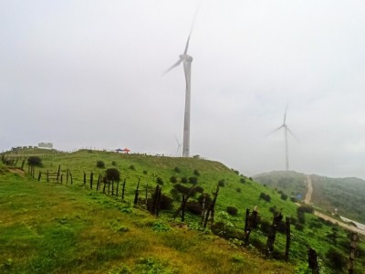 江西抚州南城县1000亩的林地，50年