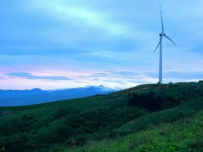 江西抚州临川区100亩园地 山地 苗圃