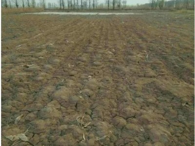 河南洛阳宜阳县130亩连片水浇地出租