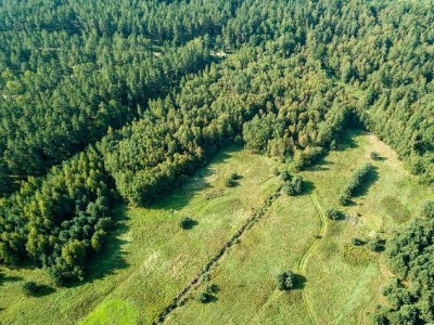 湖北随州蔡河100亩有林地出租，租金