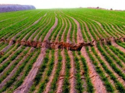 四川广元城北150亩耕地 — 水浇地出