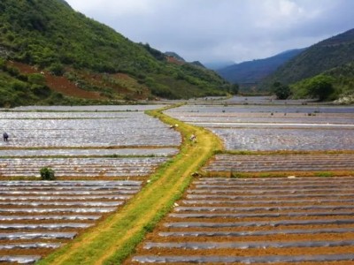 云南省红河哈尼族彝族自治州开远市1