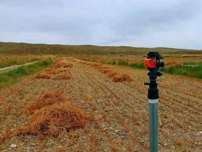 甘肃金昌水源680亩水浇地50年转让