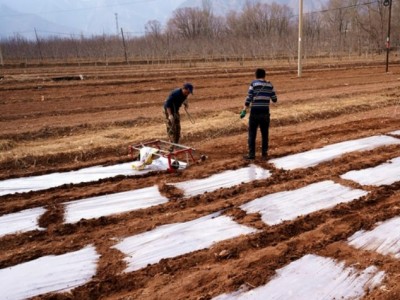 青海西宁东峡256亩 水浇地15年转让