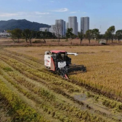 转让湖北随州38年420亩农用地。