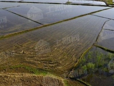 浙江宁波宁海区周边50亩水田出租，