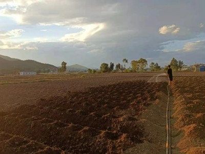 云南保山隆阳90亩水浇地出租