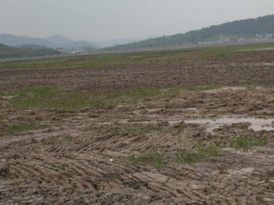 江苏省南通市海安县500亩耕地出租年