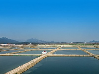 转让江苏省南通市南通滨海园区20亩