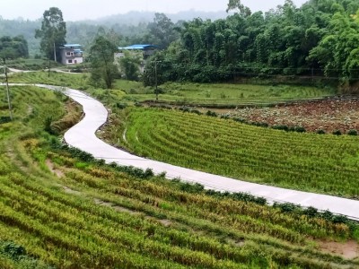 出租江苏省淮安市淮阴区200亩耕地年