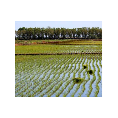 天津市静海区160亩农业用地流转，年限28年，