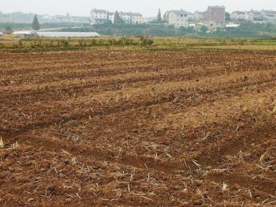 江苏省淮安市清和区200亩耕地出租10