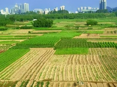 黑龙江省齐齐哈尔市龙沙区2600亩农