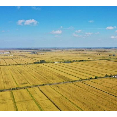 黑龙江省齐齐哈尔市建华区3000亩农业用地，年限25年