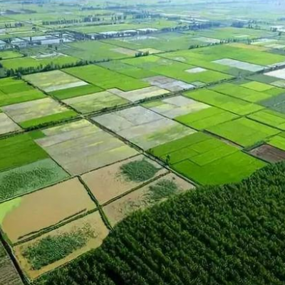 黑龙江省鹤岗市兴山区区1900亩农业用地，年限10年