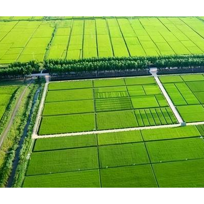 黑龙江省大庆市萨尔图区1500亩农业用地，年限20年