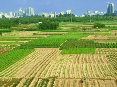 出租江苏省无锡市锡山区200亩耕地，