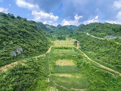 交通建设临时用地用完会怎样？看全国高速公路最长连接线土地复垦创新实践