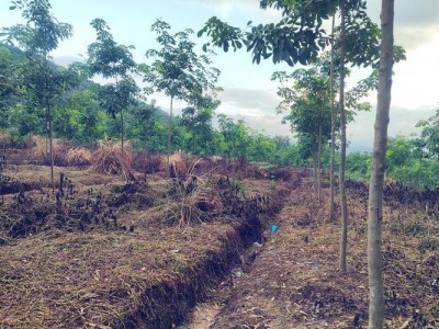 三农科普｜沃土焕新颜：解码测土配方施肥 让土地“吃饱吃好”的科学魔法