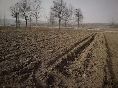 我国十余年间完成沙化土地治理3.65亿亩