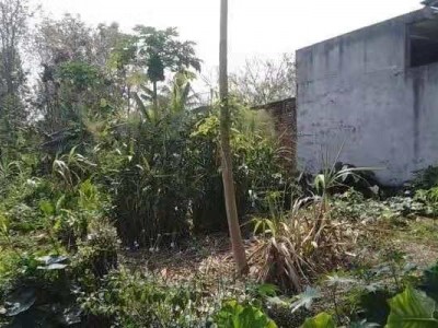 海南儋州302平米宅基地使用权出租