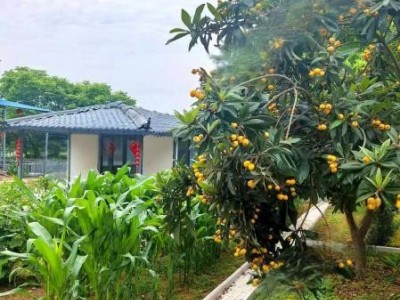 武汉江夏区 10亩 城镇住宅用地 使用权出租图3