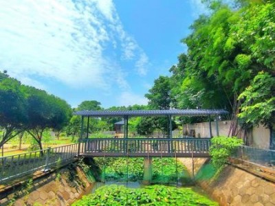 武汉江夏区 10亩 城镇住宅用地 使用权出租图2