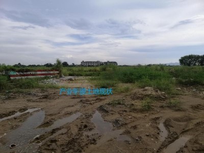 江门鹤山市 150亩 工业用地 招拍挂