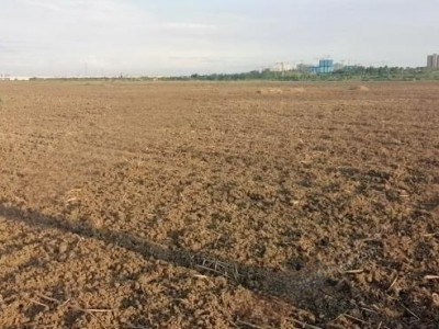 南京浦口区 4000亩 旱地 经营权出租