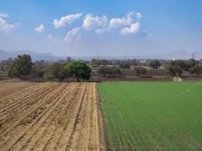 张家口赤城县 0.6亩 旱地 经营权转