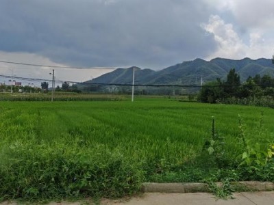 南阳南召县 1100亩 水浇地 经营权出