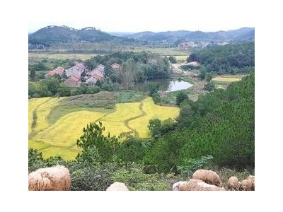 湖北黄冈红安县1000亩养殖场转让