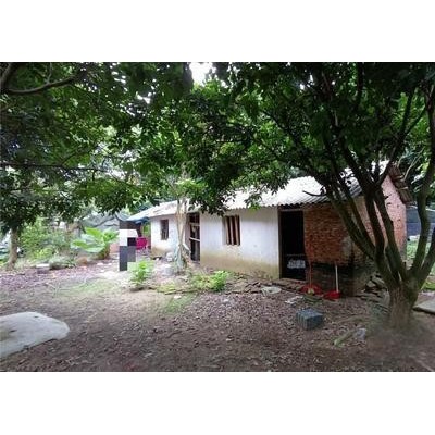 中山市板芙镇27.2亩山边平地转让，8年年限，常年有山泉水小溪，已通水电