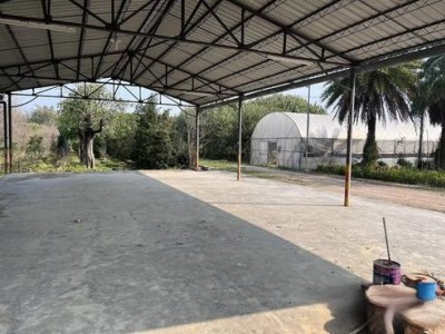 广州从化鳌头镇约150亩生态农场转让图2