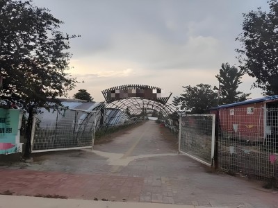 天津静海区台头镇88亩农业生态园转让，设施齐全，拎包经营图2