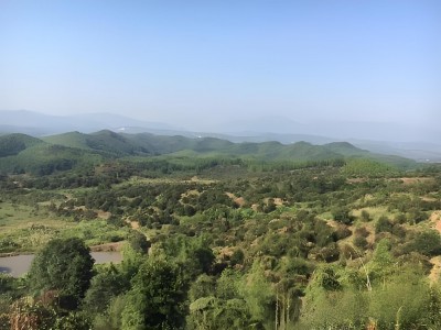 韶关市翁源县江尾镇约380亩茶园转让