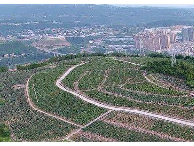 巴中市批准巴州区农用地转用为乡镇企业建设用地