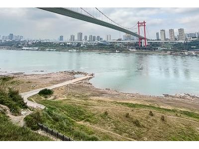 寸滩349亩闲置地背后：药厂搬迁遗留问题与千亩大盘开发困局