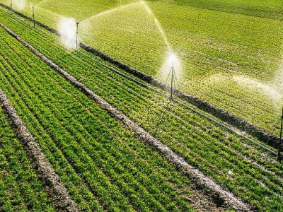 承包地经营权流转，中央一号文件强调“规范”